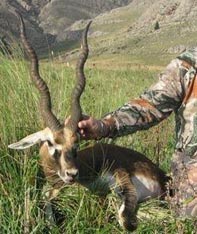 Aim Adventures Manages The Best Hunting & Fishing The World Has To Offer
