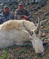 Aim Adventures Manages The Best Hunting & Fishing The World Has To Offer
