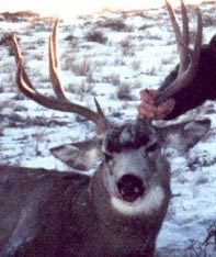 Aim Adventures Manages The Best Hunting & Fishing The World Has To Offer
