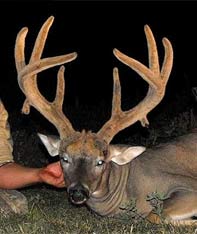 Aim Adventures Manages The Best Hunting & Fishing The World Has To Offer
