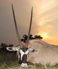 Aim Adventures Manages The Best Hunting & Fishing The World Has To Offer
