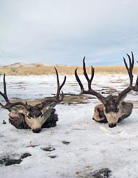 Aim Adventures Manages The Best Hunting & Fishing The World Has To Offer