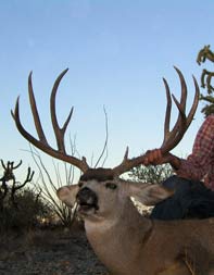 Aim Adventures Manages The Best Hunting & Fishing The World Has To Offer