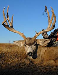 Aim Adventures Manages The Best Hunting & Fishing The World Has To Offer