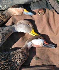 Aim Adventures Manages The Best Hunting & Fishing The World Has To Offer
