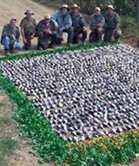 Aim Adventures Manages The Best Hunting & Fishing The World Has To Offer
